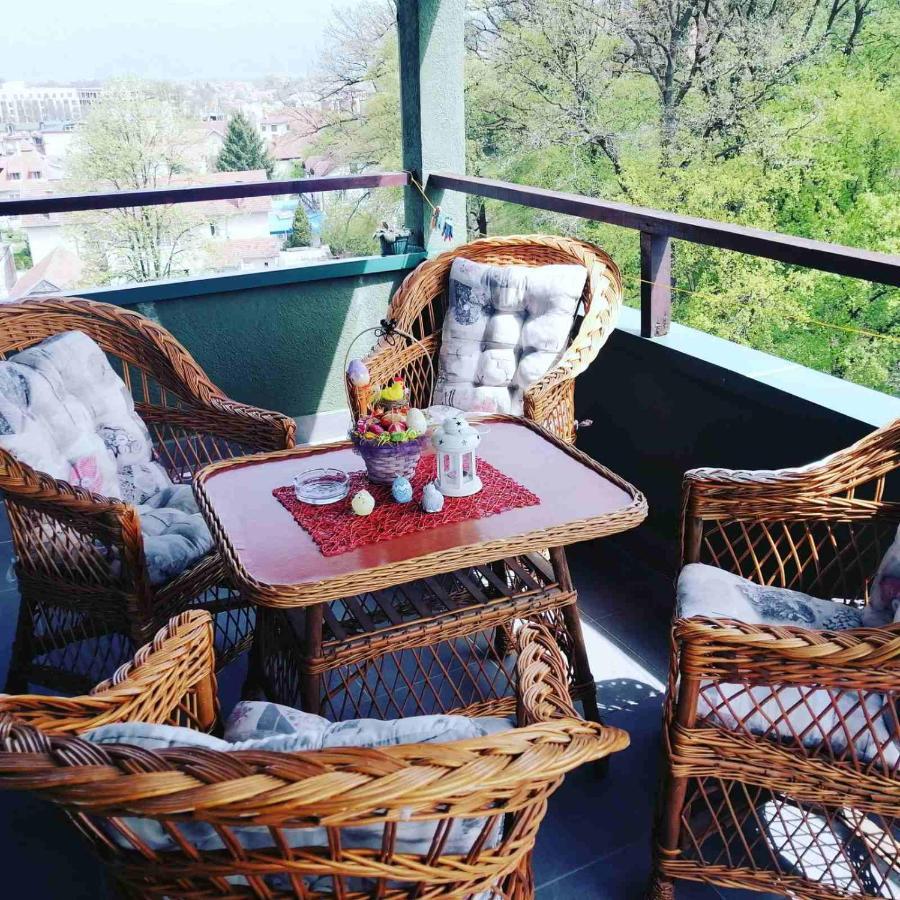 Apartman Jasmin Vrnjačka Banja Екстериор снимка